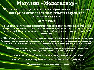 madagaskar-kids.ru справка.сайт