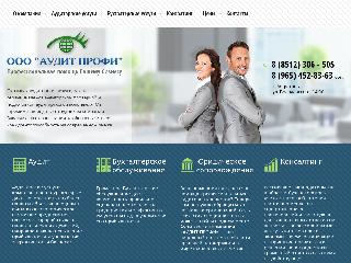 www.auditprofi2014.ru справка.сайт