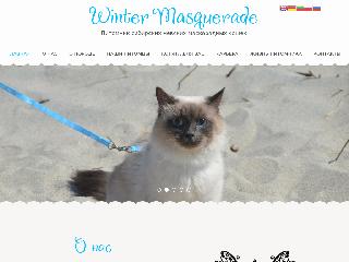 wintermasquerade.ru справка.сайт