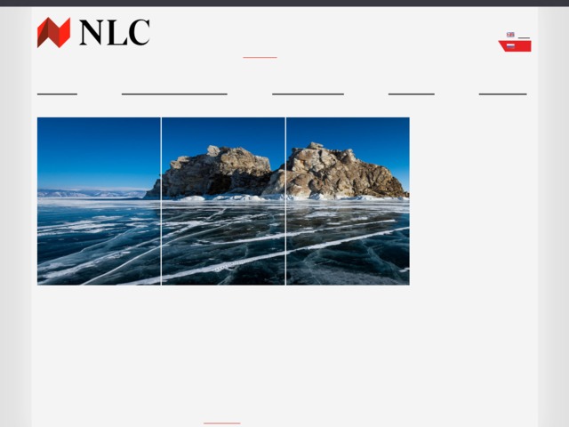 Скриншот сайта nlc.name