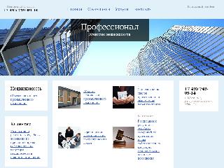www.an-professional.ru справка.сайт