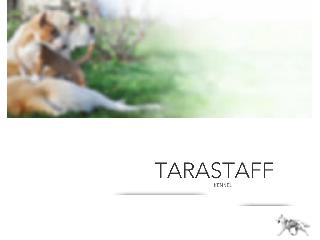 www.tarastaff.com справка.сайт