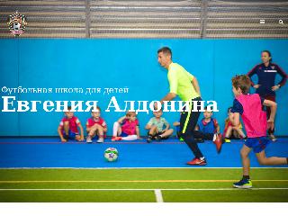 aldonin-school.ru справка.сайт