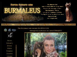 burmaleus.ru справка.сайт