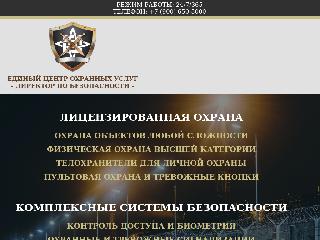 www.directorsecurity.ru справка.сайт
