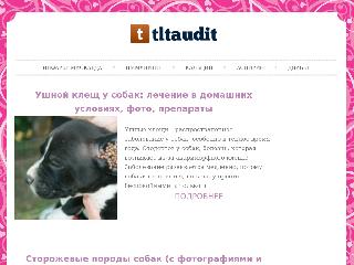 www.tltaudit.ru справка.сайт