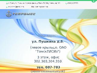 tepromes.ru справка.сайт