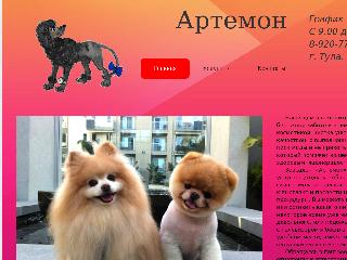 www.artemontula.ru справка.сайт