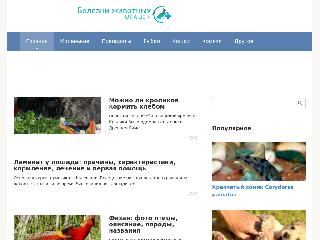www.vetbober.ru справка.сайт